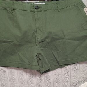 Amazon Essentials Women's Green Flat Front Shorts